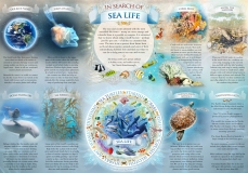 Sealife_info