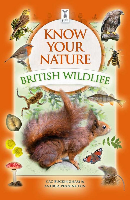 Know Your Nature: British Wildlife - Fine Feather Press