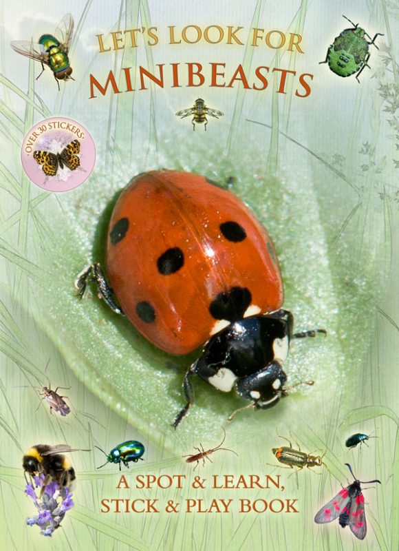 Let’s Look for Minibeasts