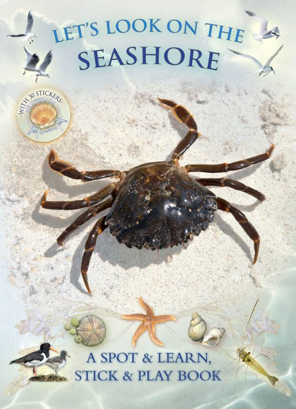 Let’s Look on the Seashore