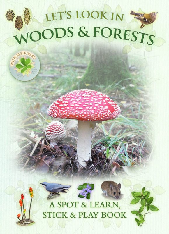 Let’s Look in Woods & Forests