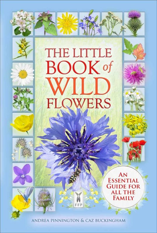 The Little Book of Wild Flowers