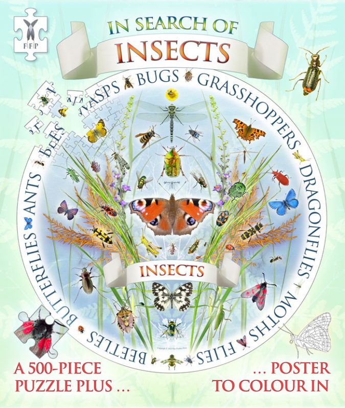 In Search of Insects Jigsaw & Poster